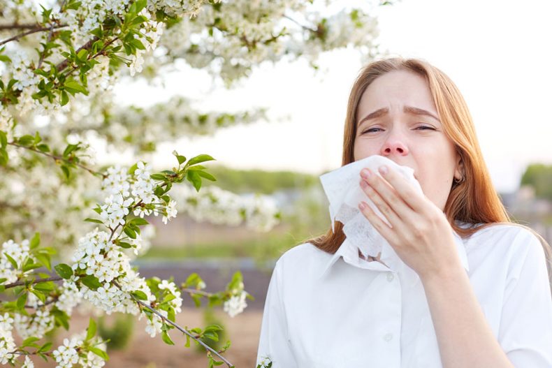 How getting an air purifier can help your allergies/asthma